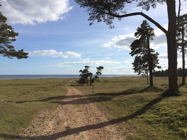 skog och hav