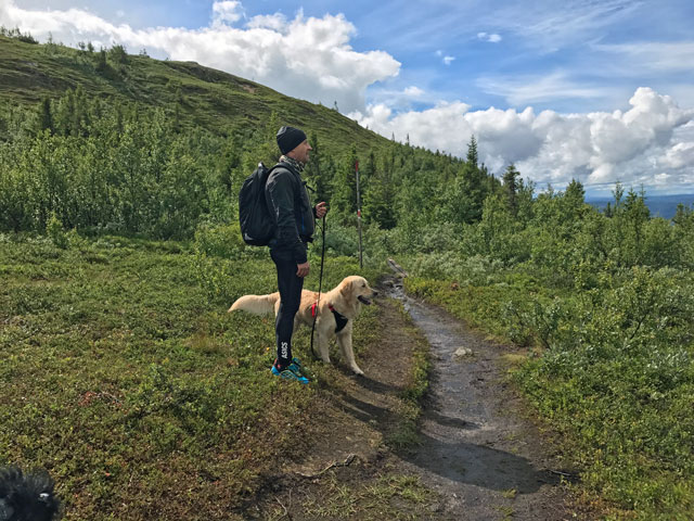 Under trädgränsen är det varmt och allt är grönt.