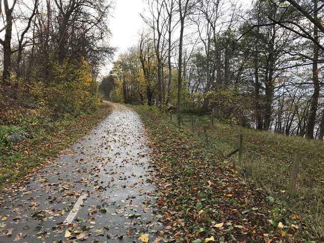 Cykelvägen längs Råbelövsjön.