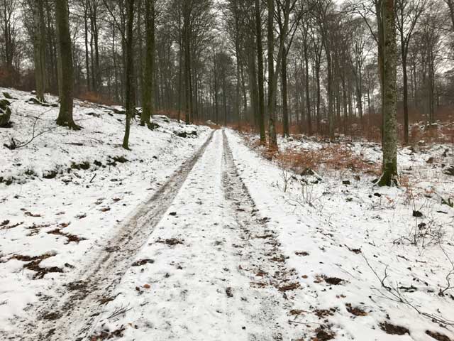 Vinterterräng på Balsberget