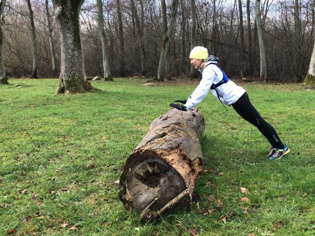 Armhävning mot stock