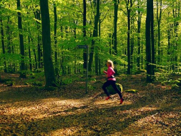 Traillöpning på Balsberget under våren